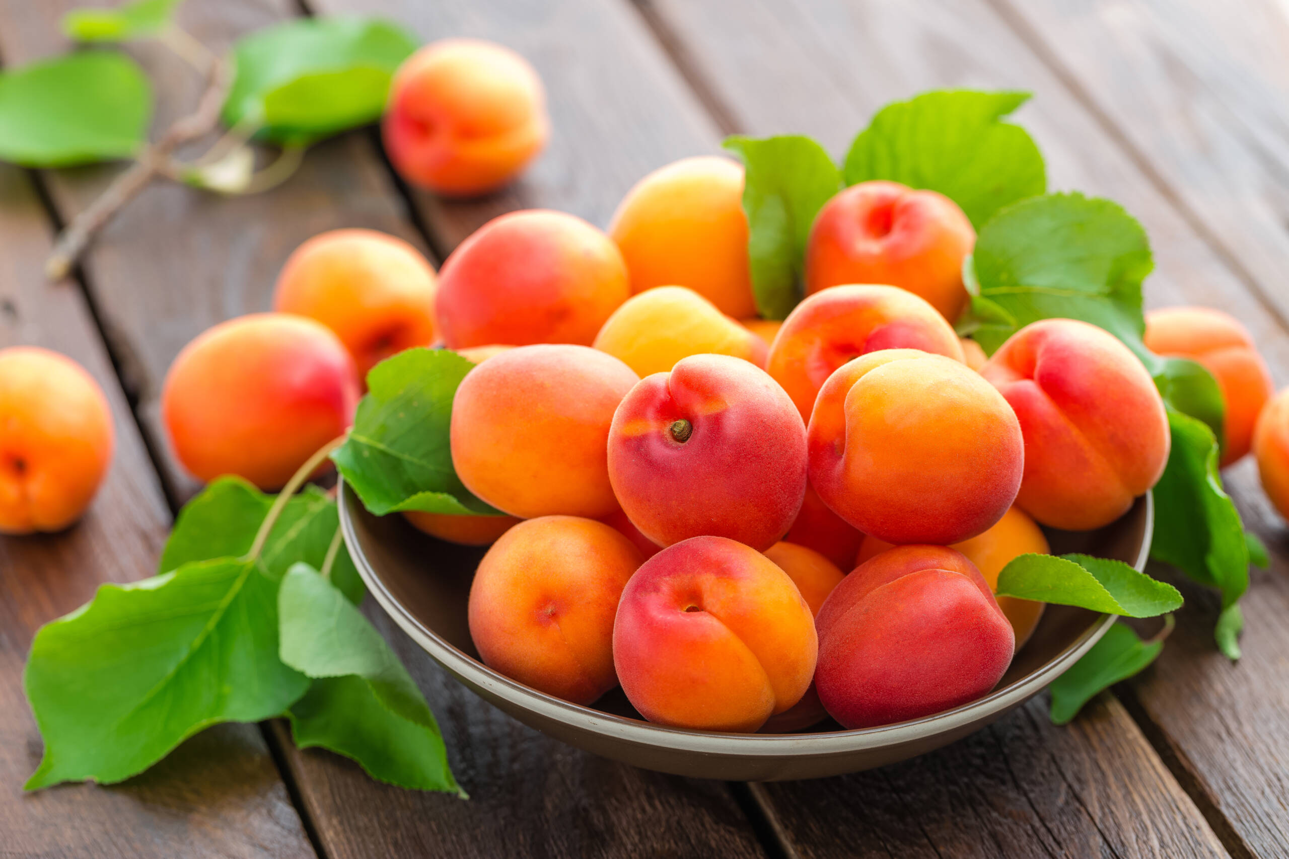 apricots