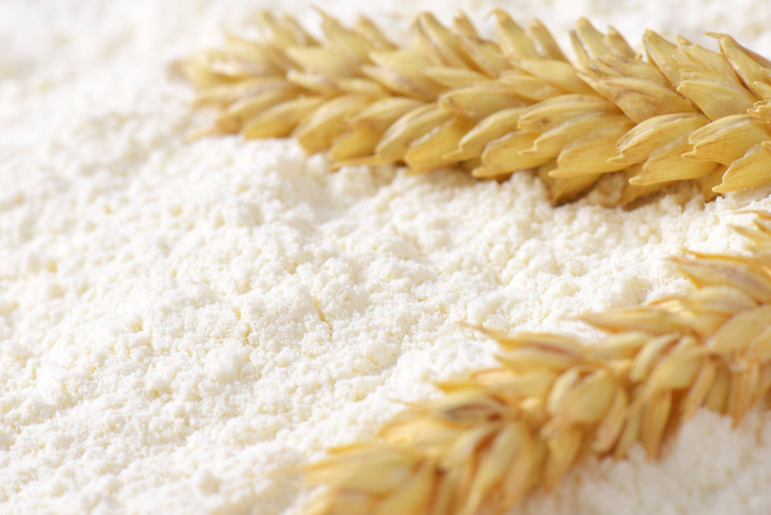 wheat flour and wheat ears