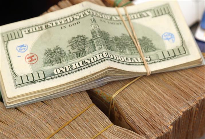 zimbabve doları