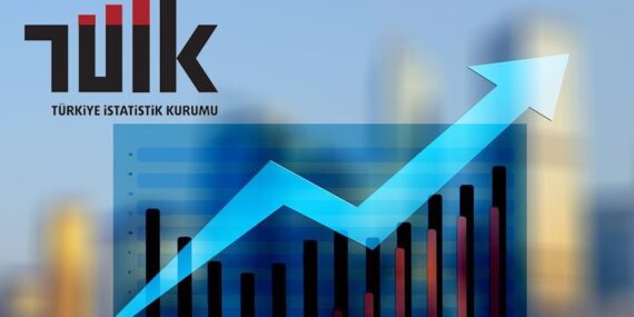tüik2