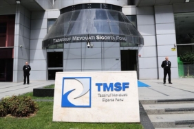 tmsf