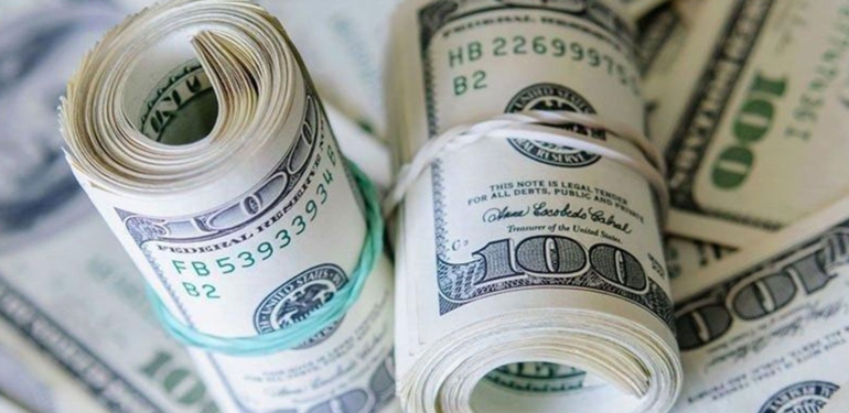 dolar13