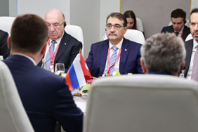 dönmez novak