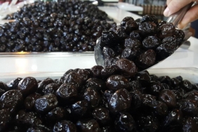 zeytin