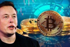 elon musk bitcoin