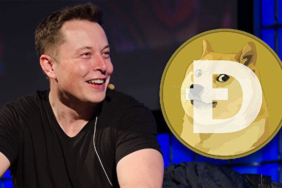 elon musk doge