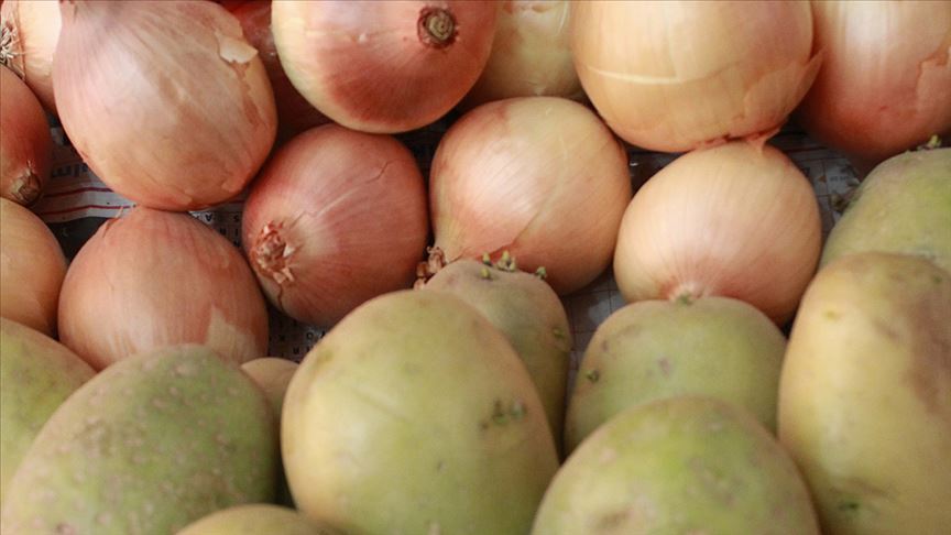 dondurulmuş soğan ve patates