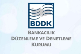 bddk11