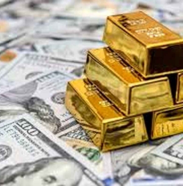 dolaraltin13