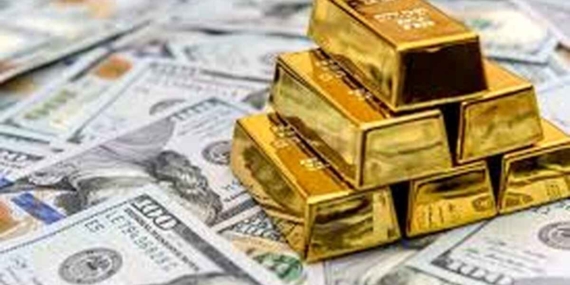 dolaraltin13