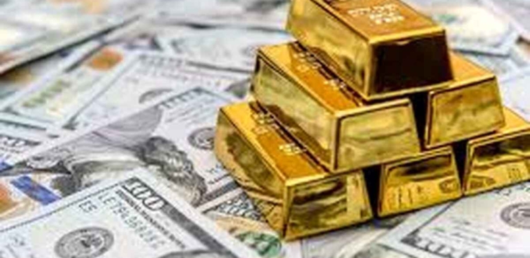dolaraltin13