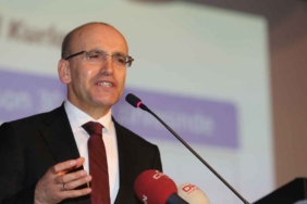 mehmetsimsek129