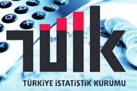 tuik10