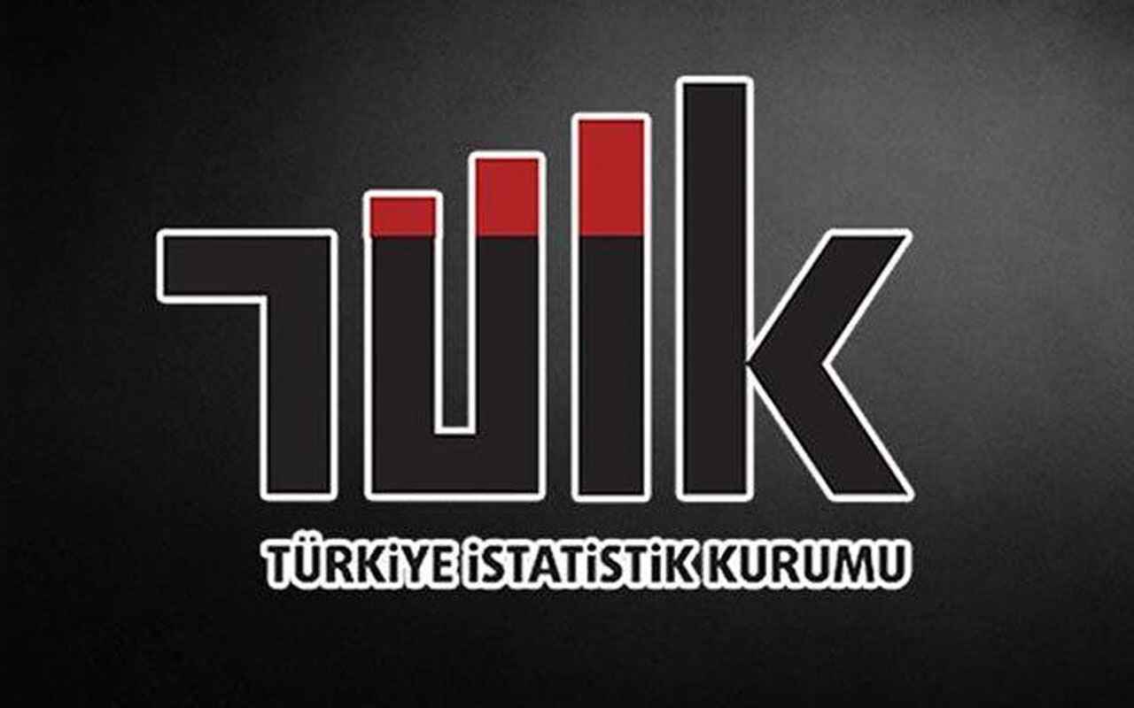 tuik13