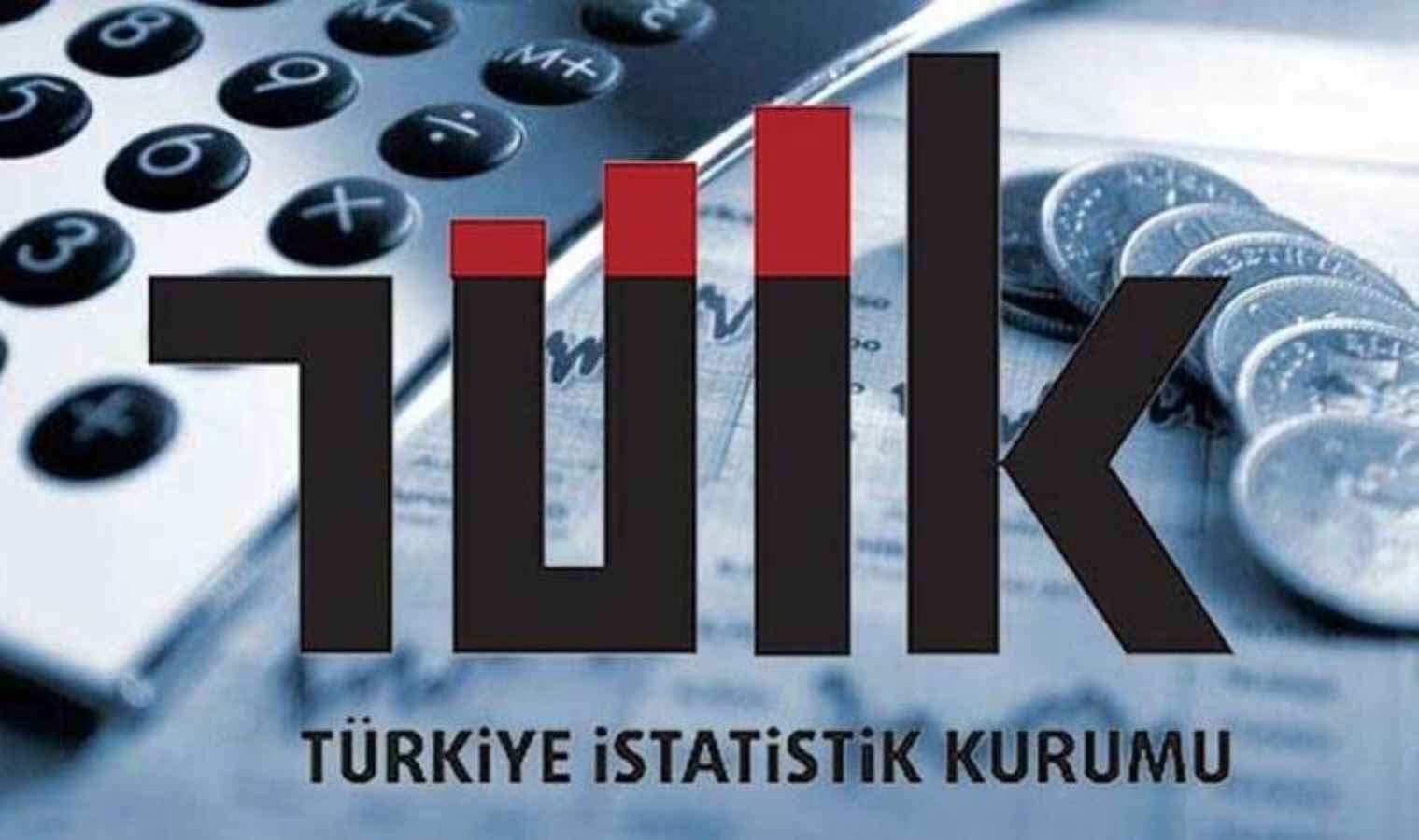 tuik17