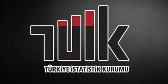 tuik8