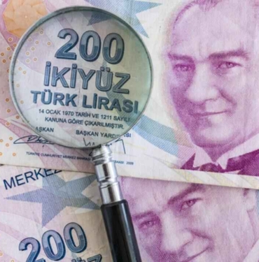 turklirasi100