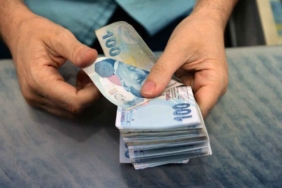 turklirasi113