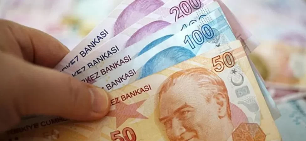turklirasi195